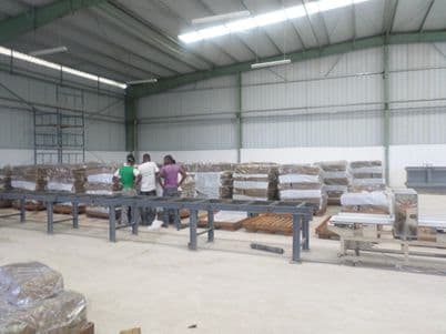 Natural rubber seeds